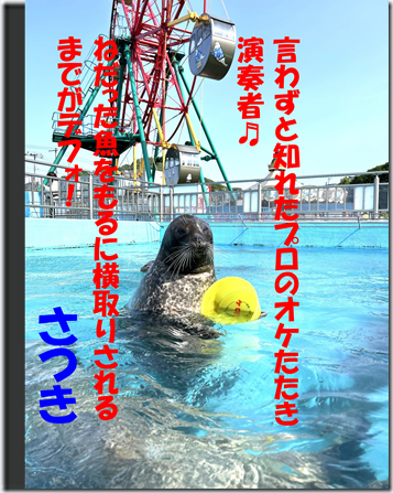 画像11
