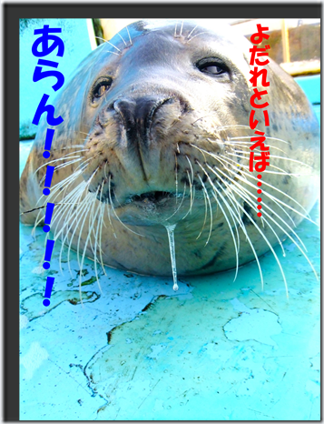 画像12