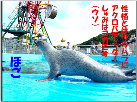 画像8