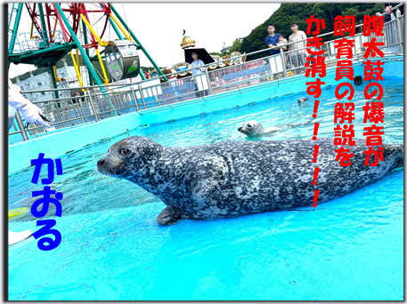 画像9